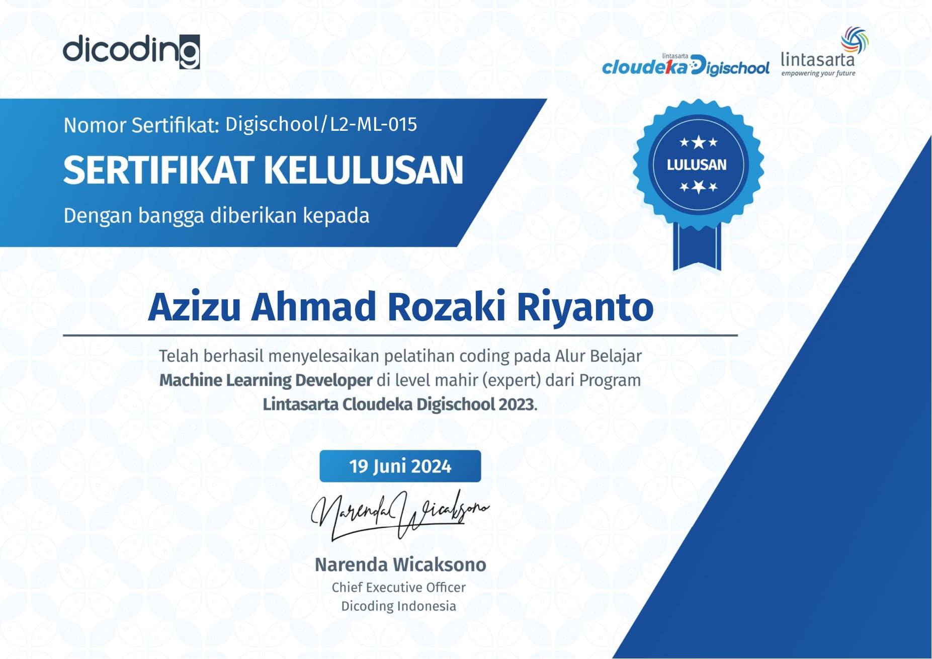 Machine Learning Developer — Expert